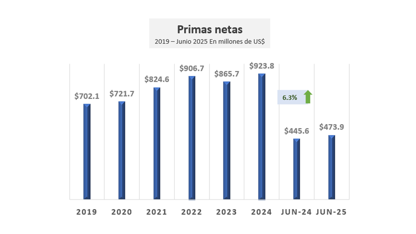 Primas Netas Primas Netas