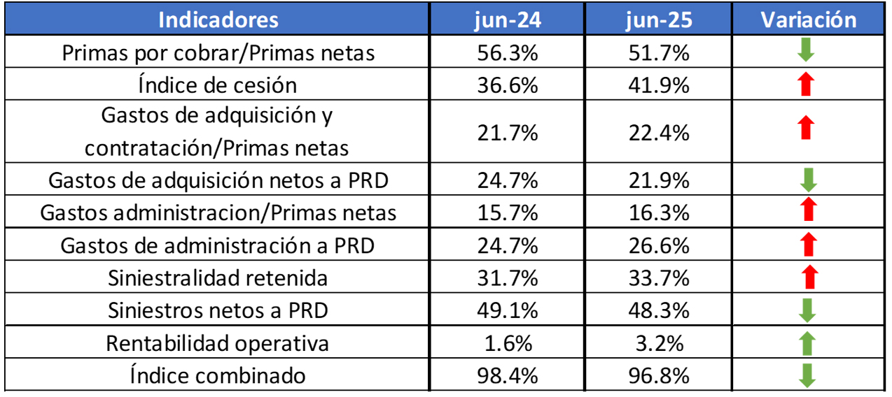 Principales indicadores de la industria aseguradora